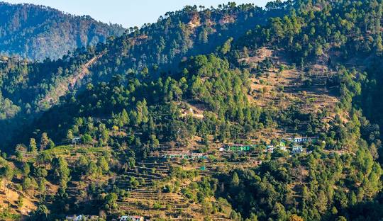 Ranikhet